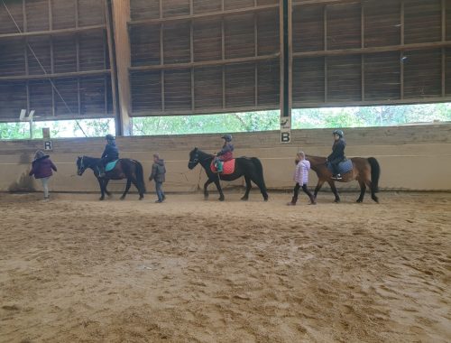 A cheval ou à poney