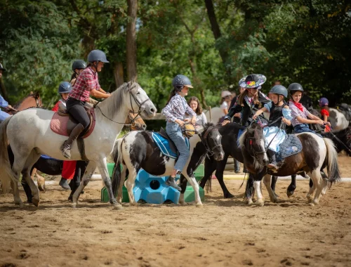 centre équestre régional du Forez