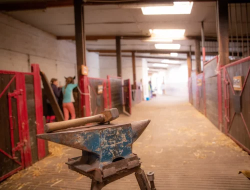 atelier maréchalerie