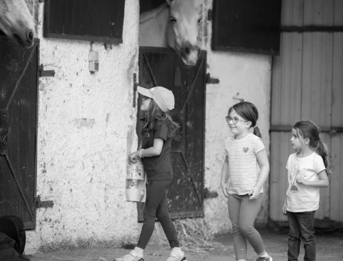 découverte des écuries